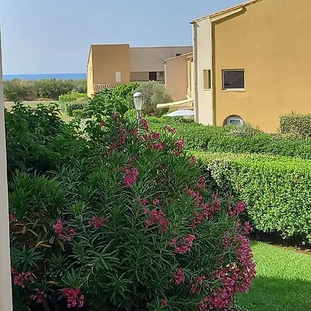 Capao 160, Piscine, Parking, Clim Appartement *